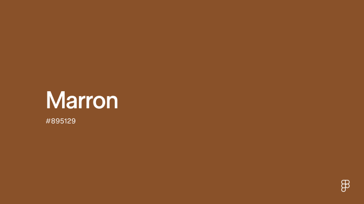 Blazer KARA manches longues D1